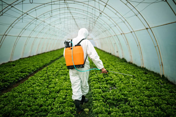 Best Commercial Pest Control Services  in Maple Lake, MN