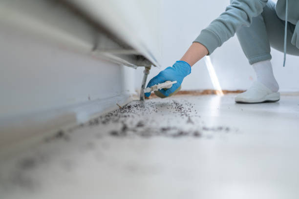 Best Wildlife Control Services  in Maple Lake, MN