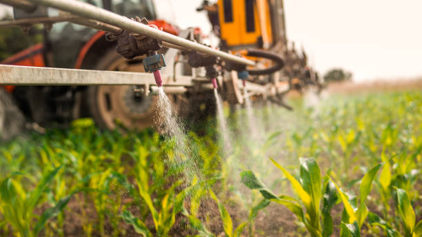 Professional Pest Control in Maple Lake, MN
